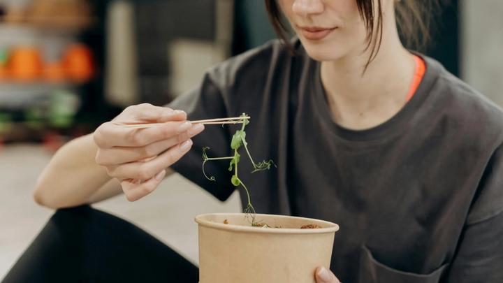 GLP-1s and Binge Eating Disorder: A Tool, Not a Cure