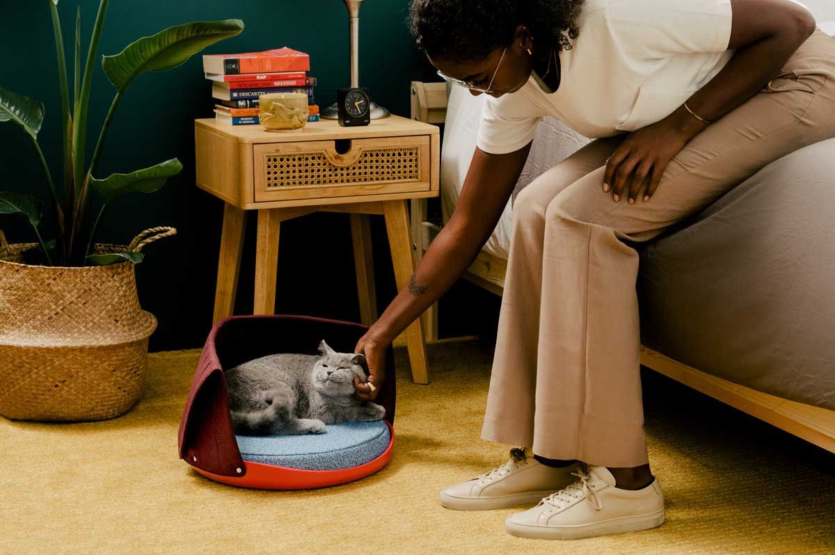 Cat Person Food & goods for cats and the persons who love them