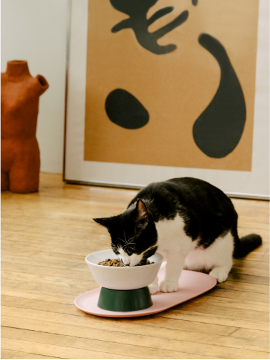 Black and white cat eating Cat Person dry food out of a Cat Person Mesa Bowl on wood floor