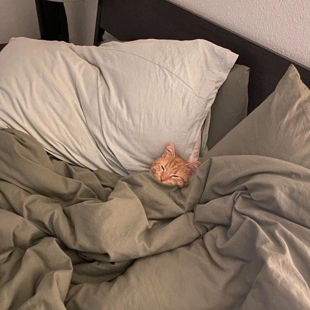 A tiny cat asleep in a large comfortable bed enveloped by blankets and pillows