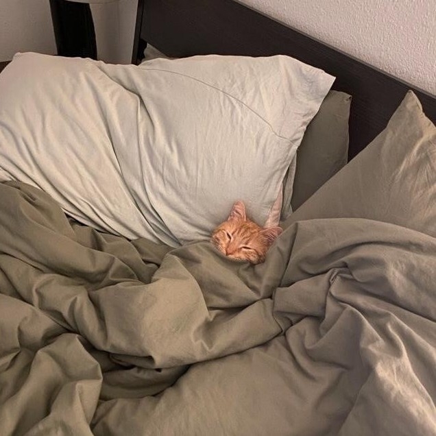A tiny cat asleep in a large comfortable bed enveloped by blankets and pillows