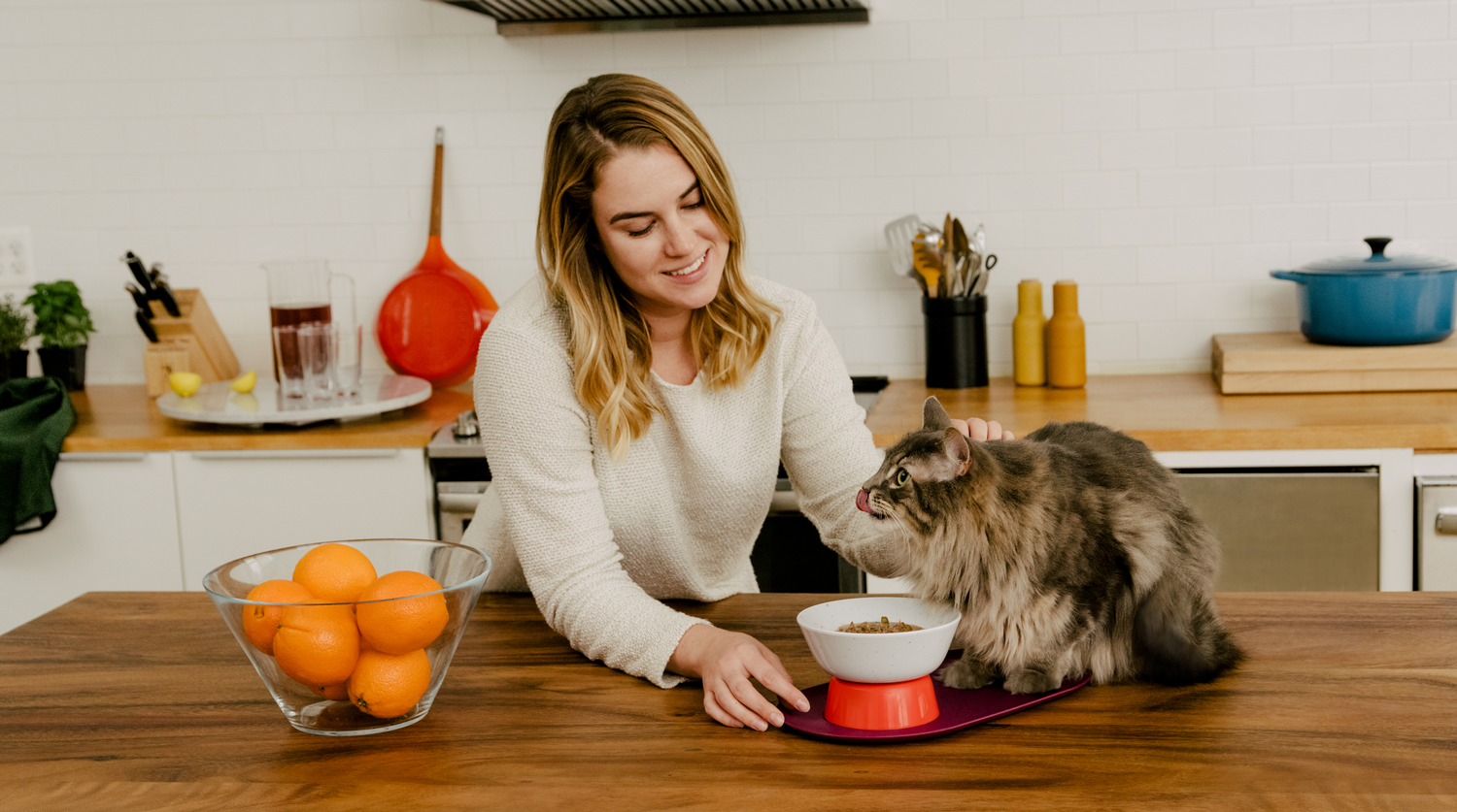 Image of woman smiling and petting longhaired cat. Cat is eating Cat Person food out of a Mesa Bowl and licking its chops.