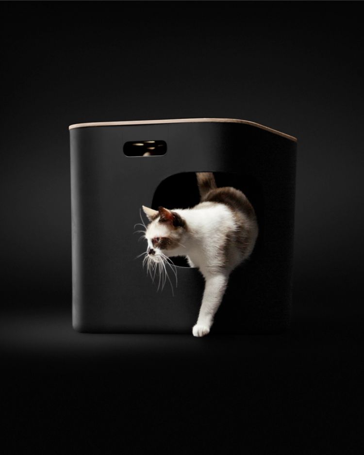 Skylight Litter Box | Cat Person