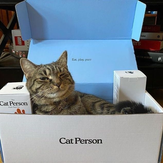 A content looking cat laying inside a Cat Person box