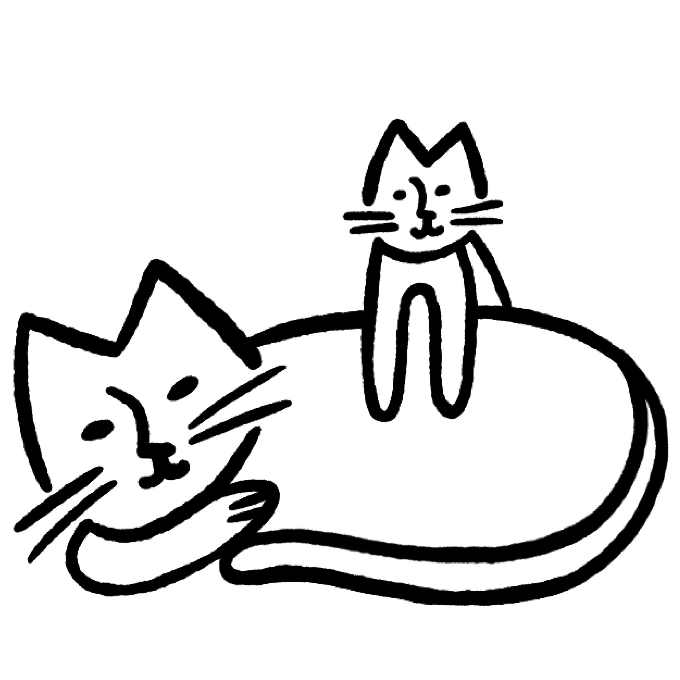 Cat Food Delivery Meal Plan with Free Shipping Cat Person