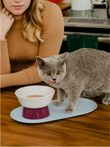 Cat Food Delivery Meal Plan with Free Shipping Cat Person