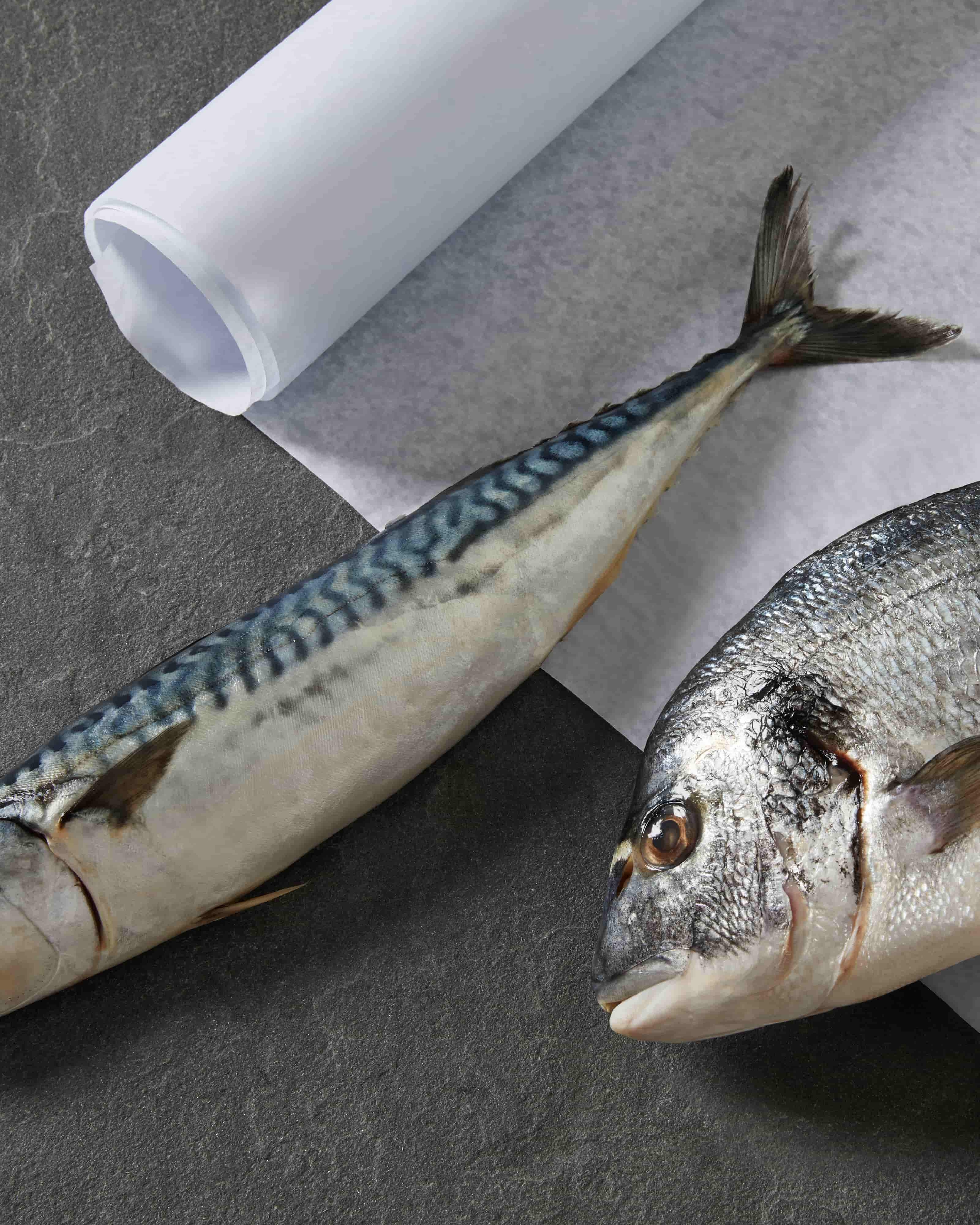 raw whole mackerel and raw whole bream 