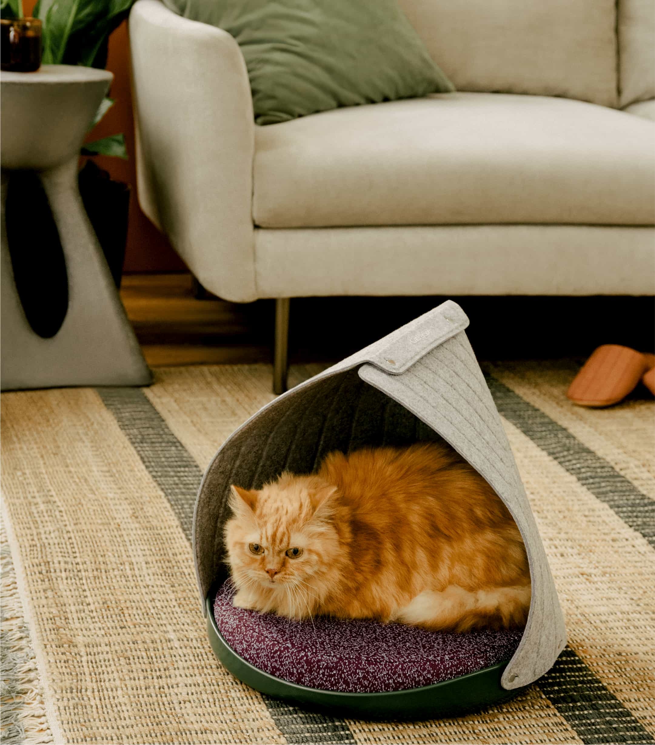 Orange cat lying in Cat Person canopy bed in a living room