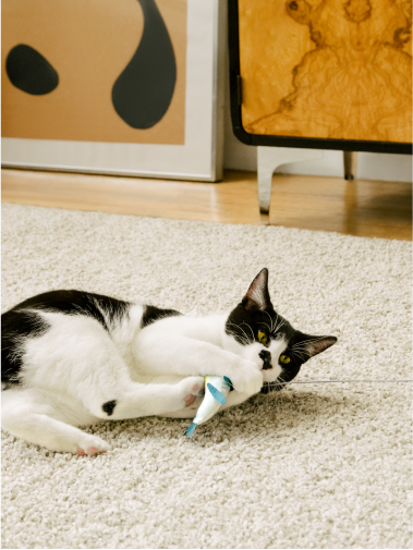 Black and white cat lying on white rug pulling playfully at Cat Person tuna catnip toy