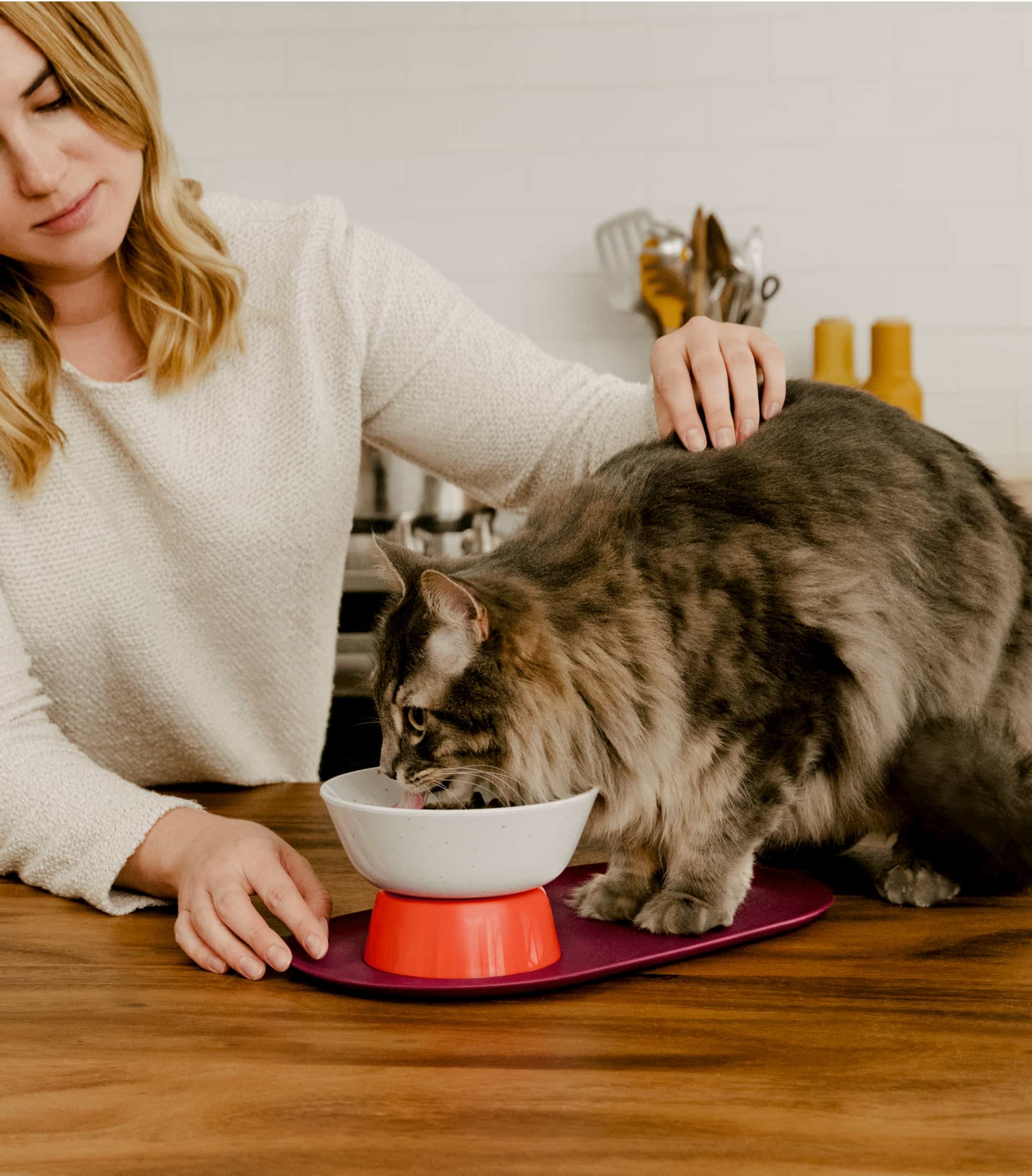 Woman petting cat eating food from Cat Person Mesa Bowl on kitchen counter