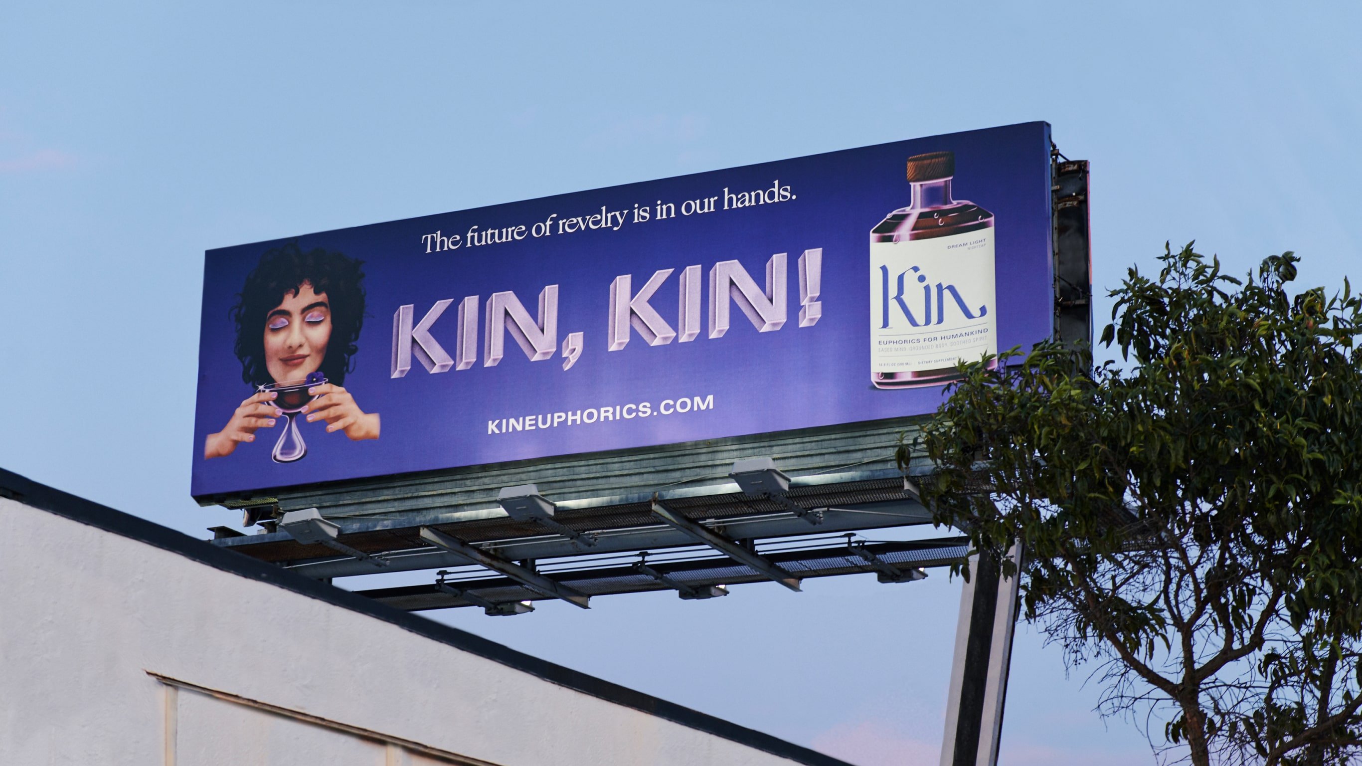 Kin Euphorics Campaign Billboard, Robert Beatty illustrations on blue background. Campaign art direction by RoAndCo studio