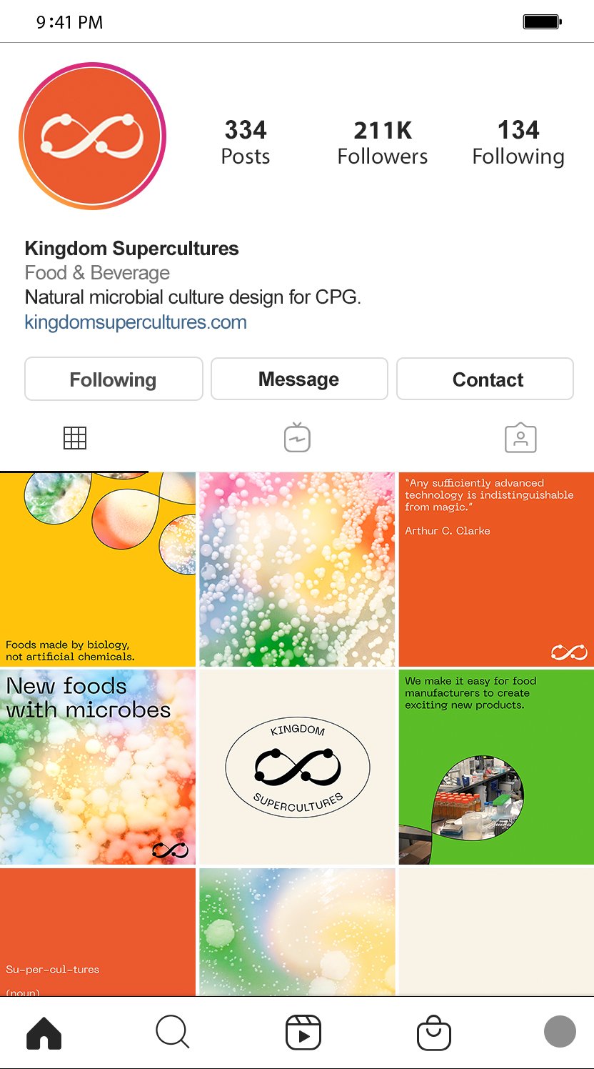 Kingdom Supercultures Social Media Instagram Grid, designed by RoAndCo