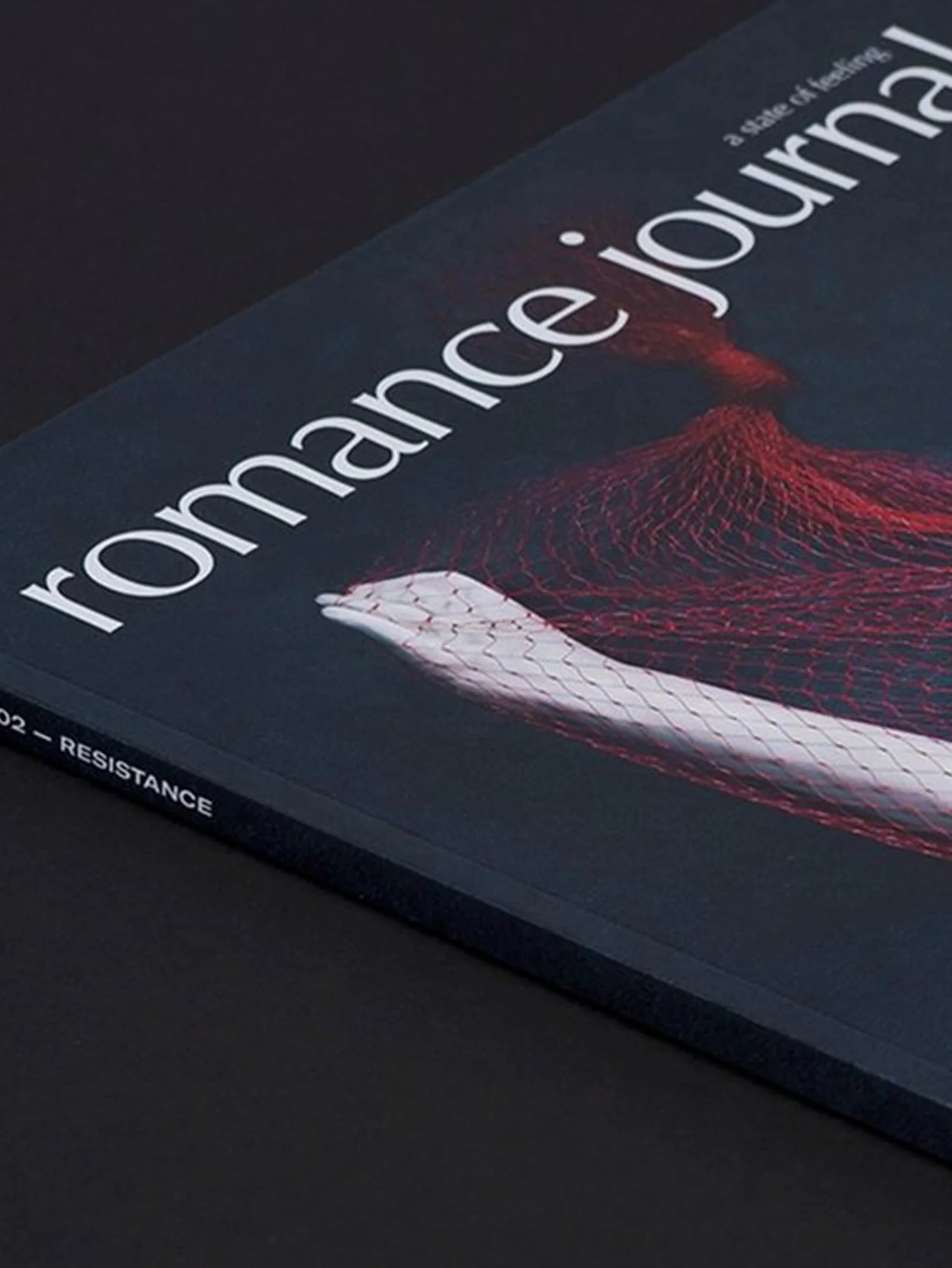 Close up of Romance Journal Issue 02 cover, sculpture wrapped in netting on black background. Publication design, art direction, print design by RoAndCo.