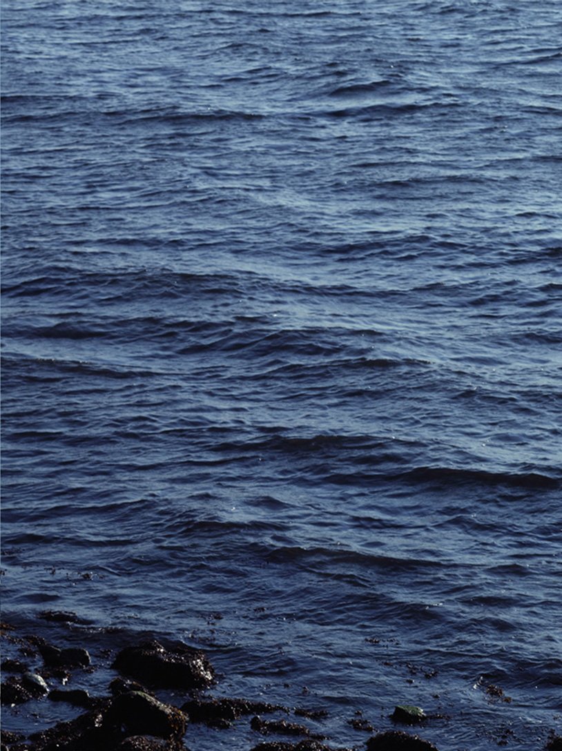 Still image of ocean for SS12 Honor Campaign, by RoAndCo