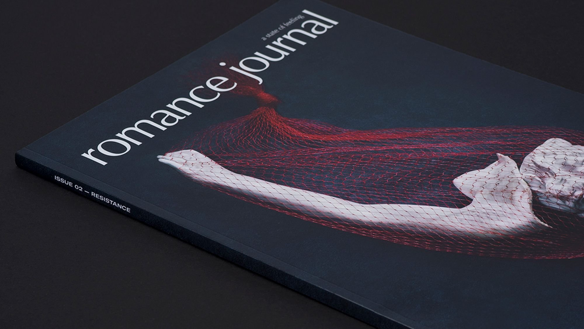 Close up of Romance Journal Issue 02 cover, sculpture wrapped in netting on black background. Publication design, art direction, print design by RoAndCo. 