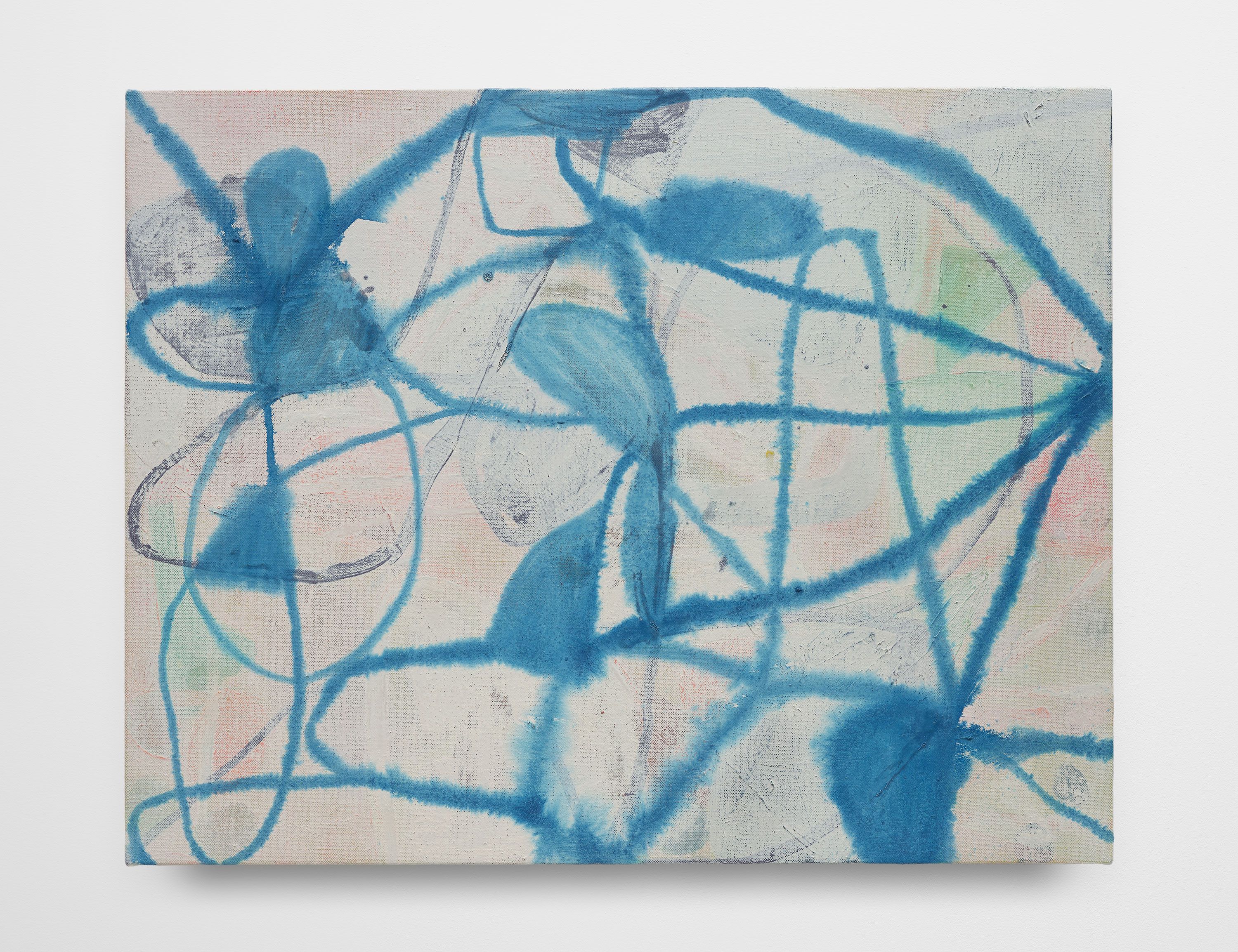 Nightshade, 2026, oil on canvas, 20 x 28 in.