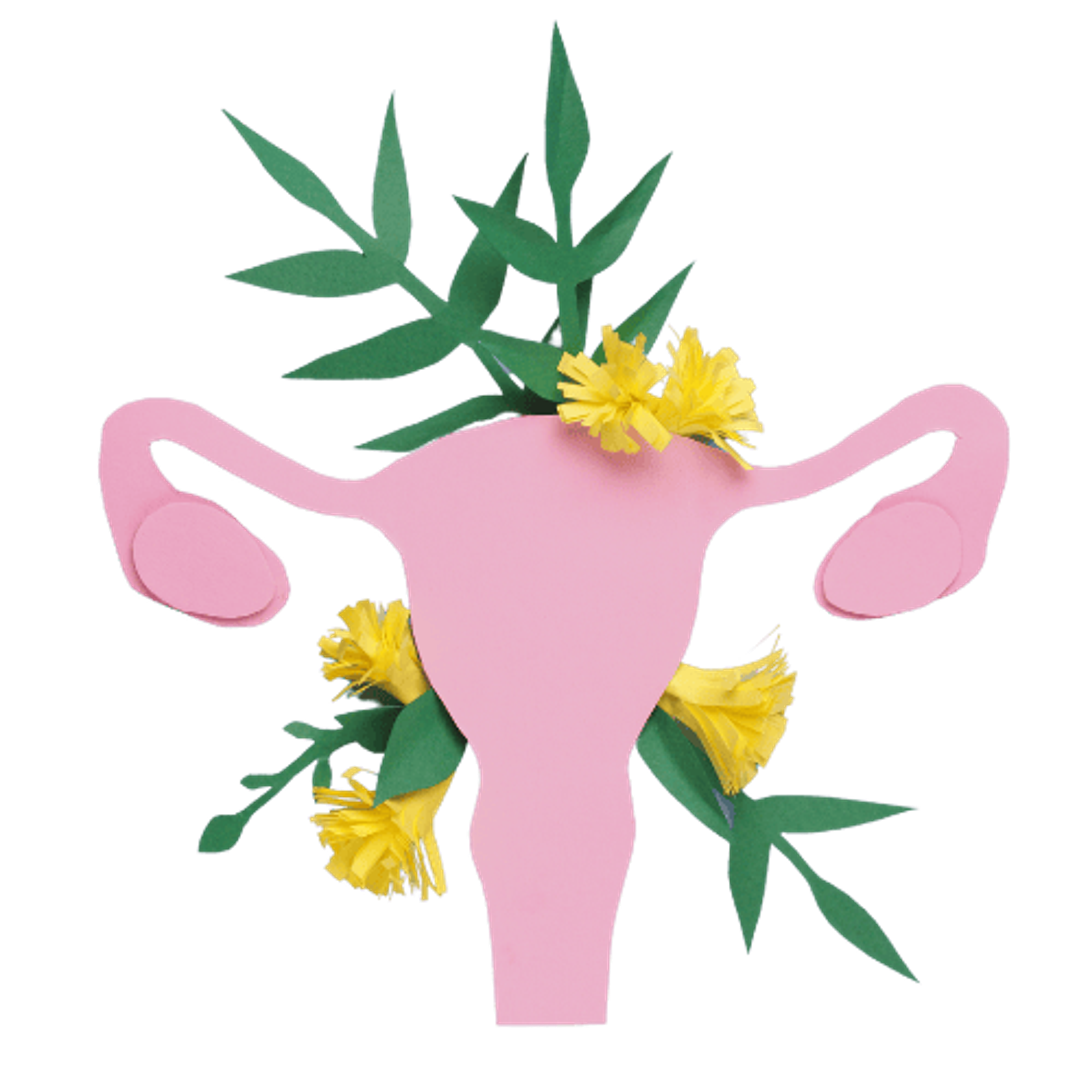 Menopauza, a aktywność fizyczna – jak do tego podejść?