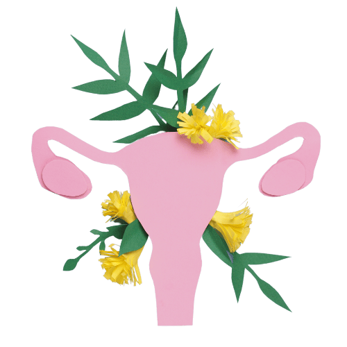 Menopauza, a aktywność fizyczna – jak do tego podejść?