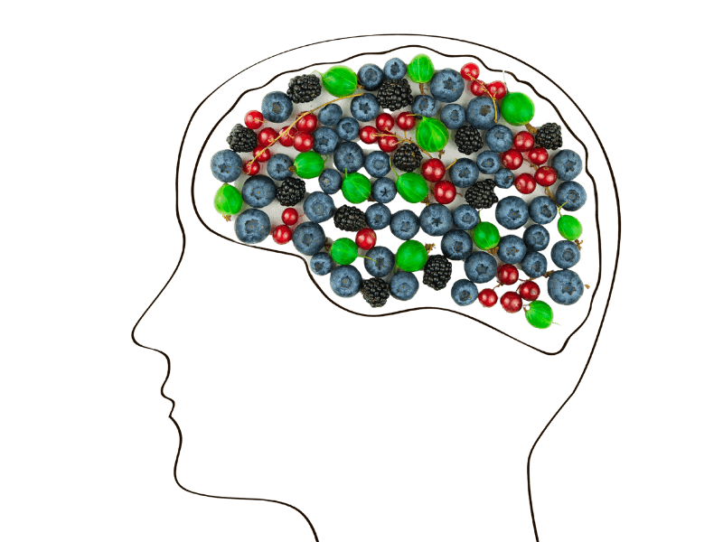 Brain food – najlepsza dieta dla naszego mózgu