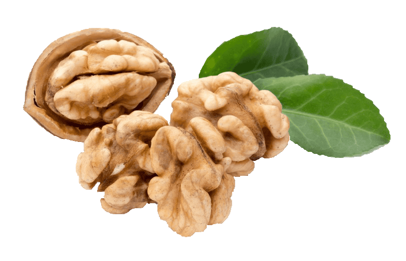Dieta na dobrą pamięć i koncentrację
