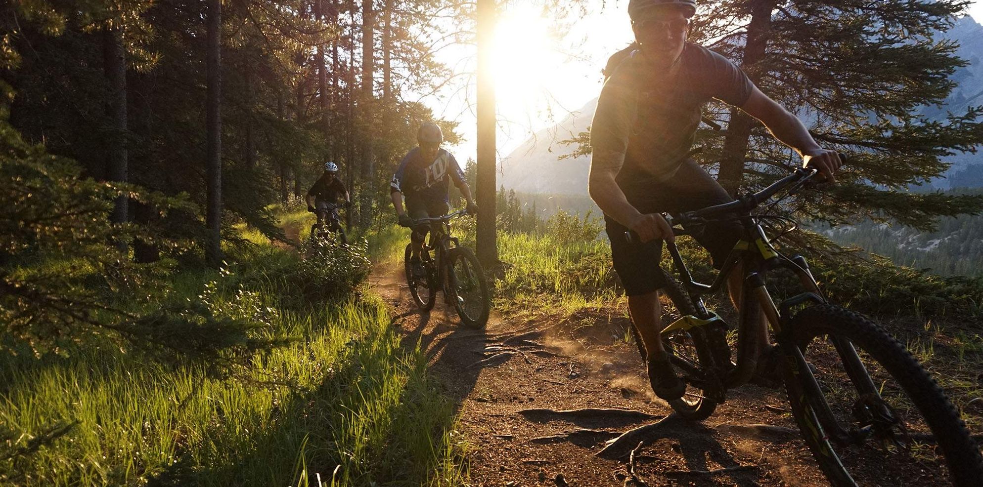Mountain Biking, Tunnel Mountain, Banff National Park