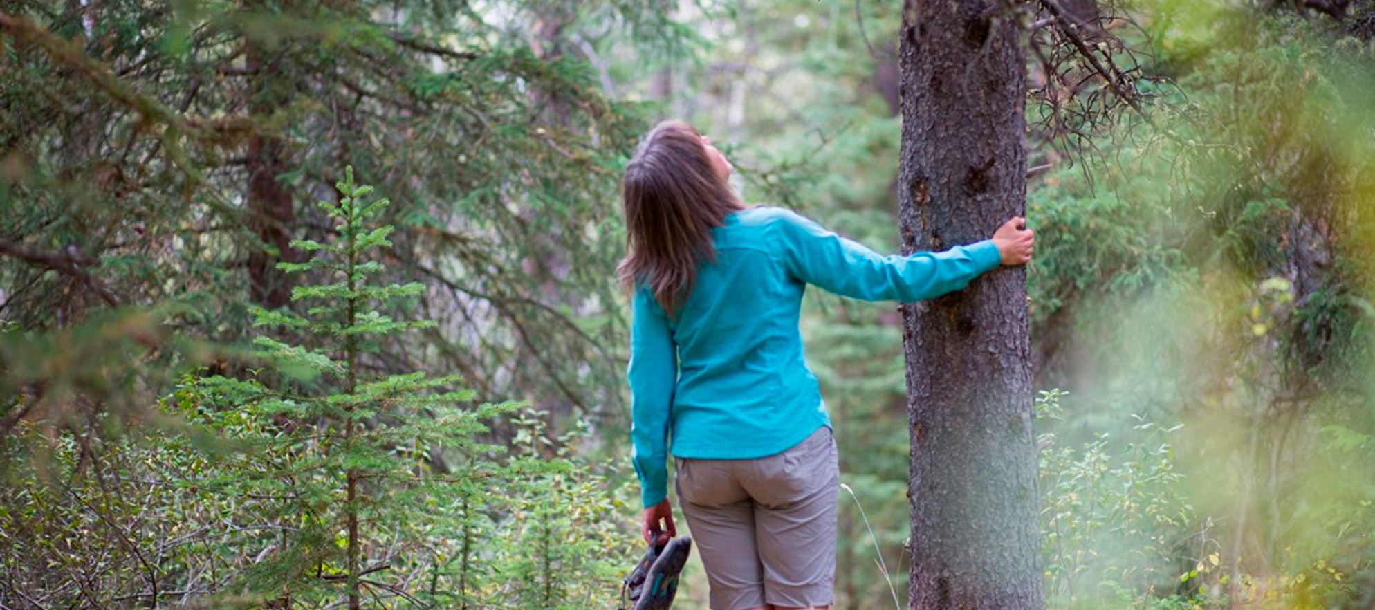 Forest Bathing in Banff National Park