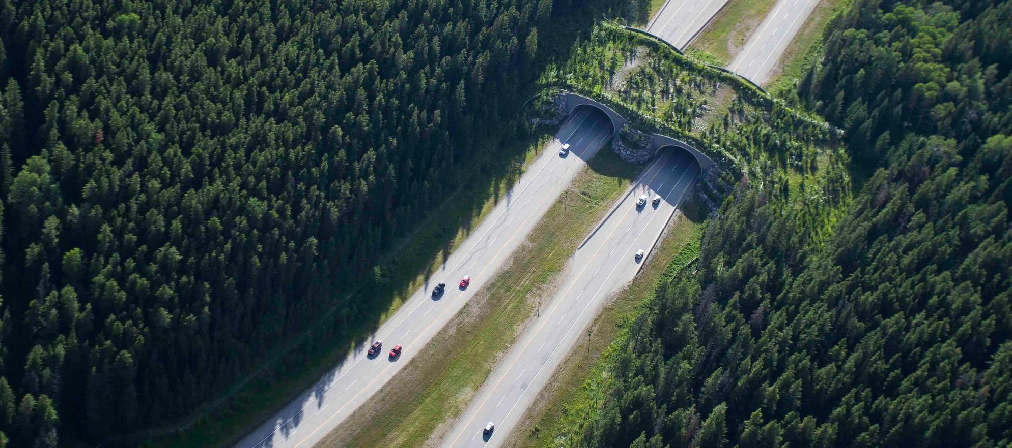 A wildlife overpass on Highway 1 in Banff National Park as seen from an aerial view.