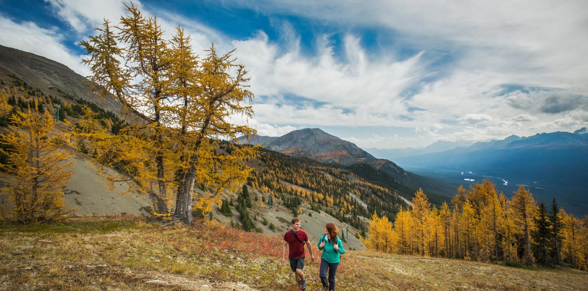 Moraine Lake Larch Hike, Banff National Park, AB