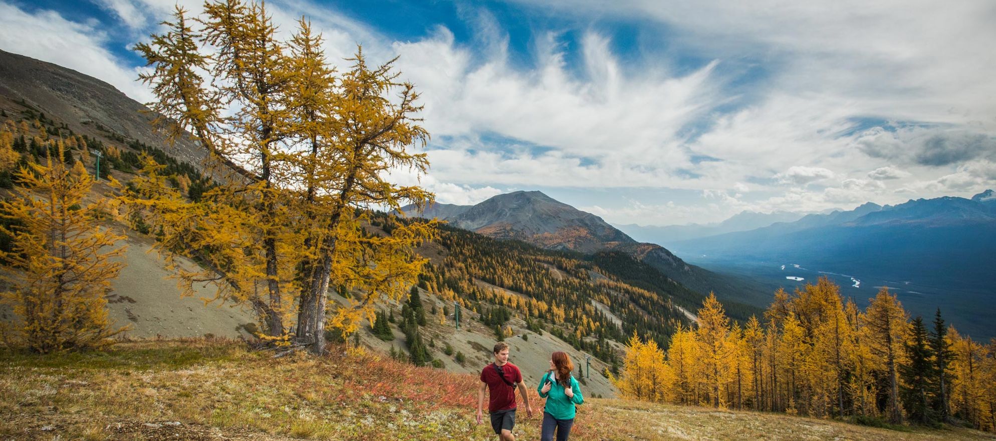 Moraine Lake Larch Hike, Banff National Park, AB