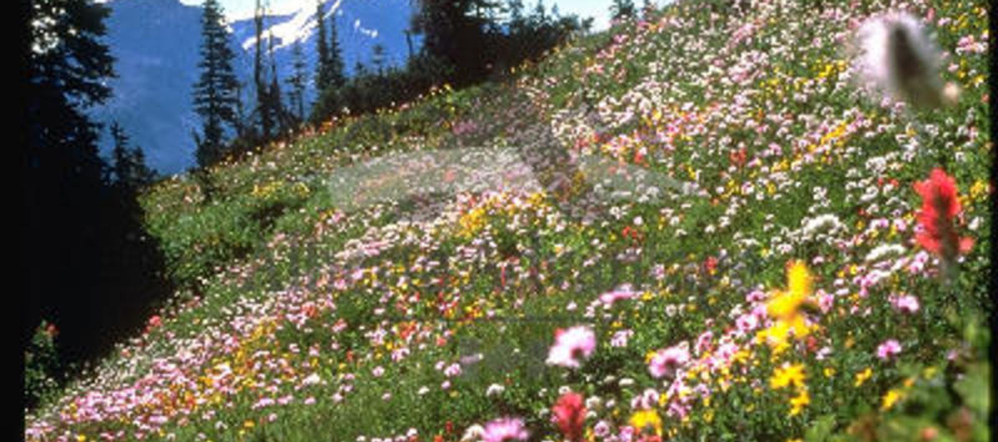 Turning Point Accupuncture & Massage