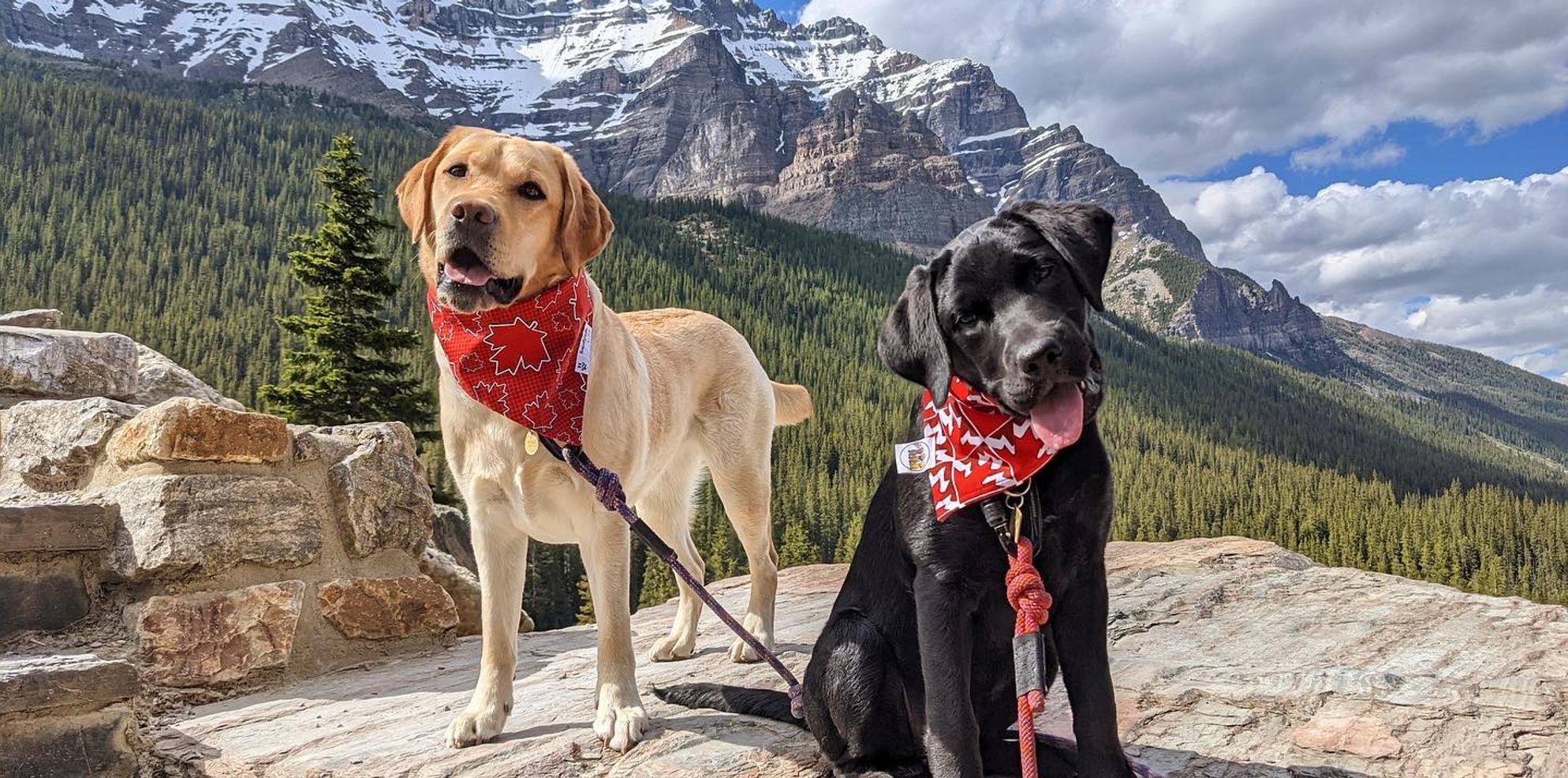 Two Dogs on Leash pose at Moraine Lake