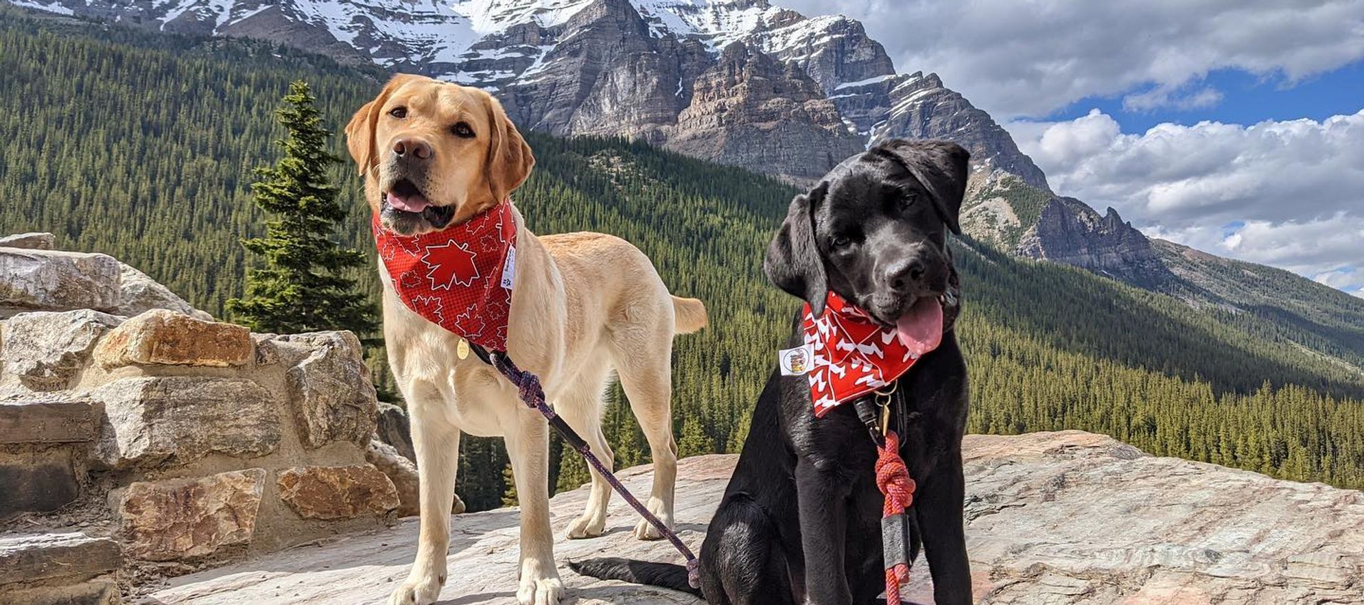 Two Dogs on Leash pose at Moraine Lake