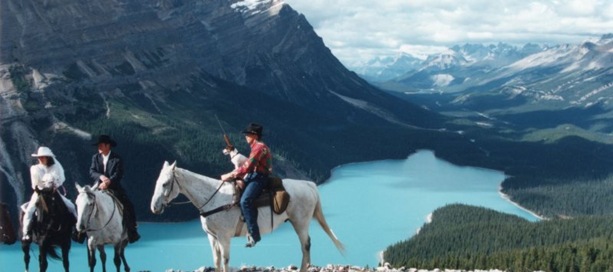 Timberline Tours Ltd.