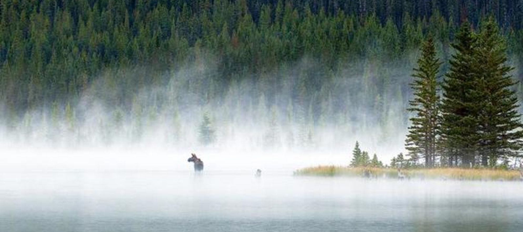 Brandon T. Brown Wilderness Gallery