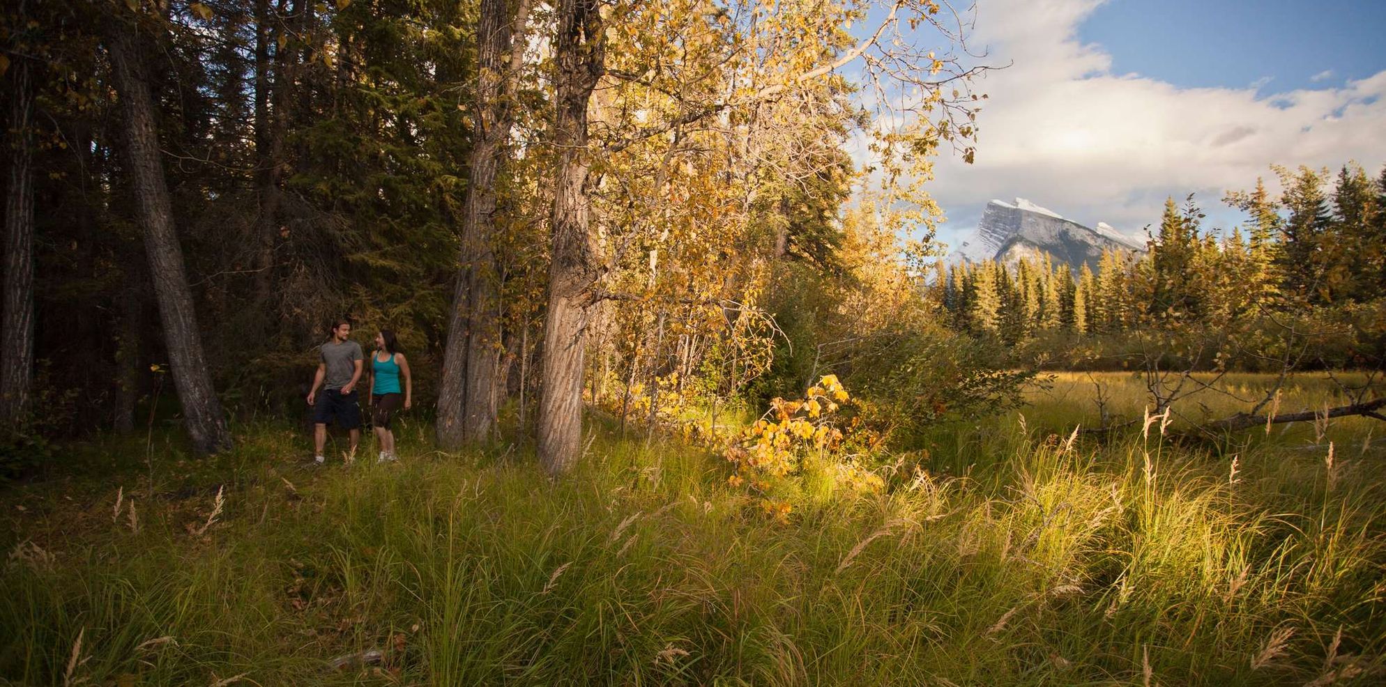 Fenlands Trail, Banff National Park