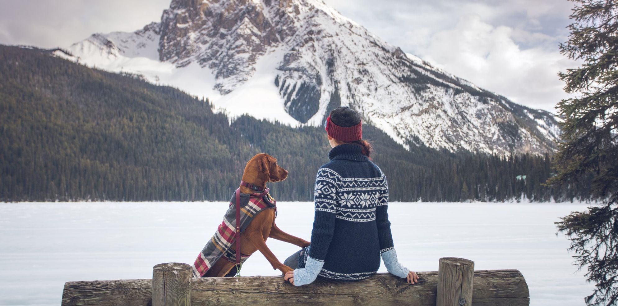 A woman and her dog sitting on a bench in front of snowy Emerald Lake