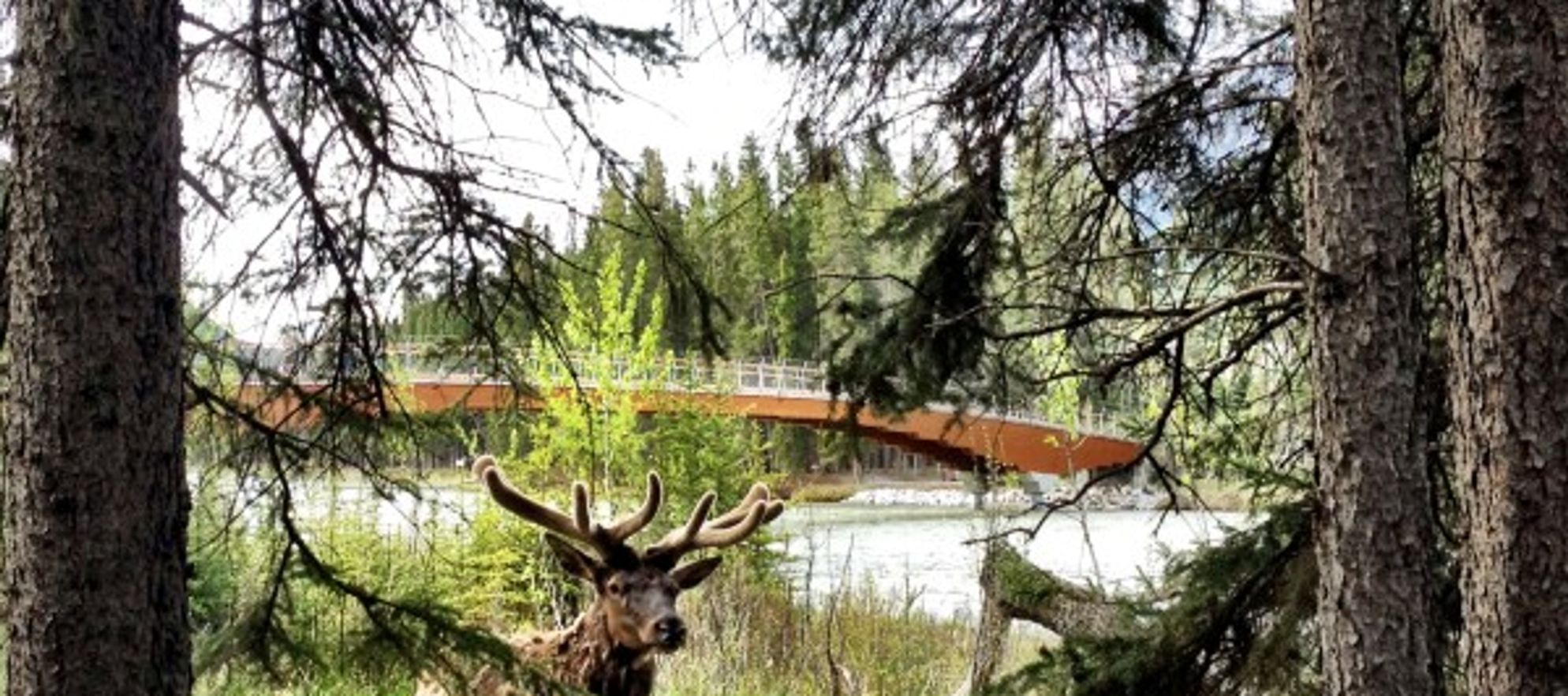 Riverside Bed & Breakfast