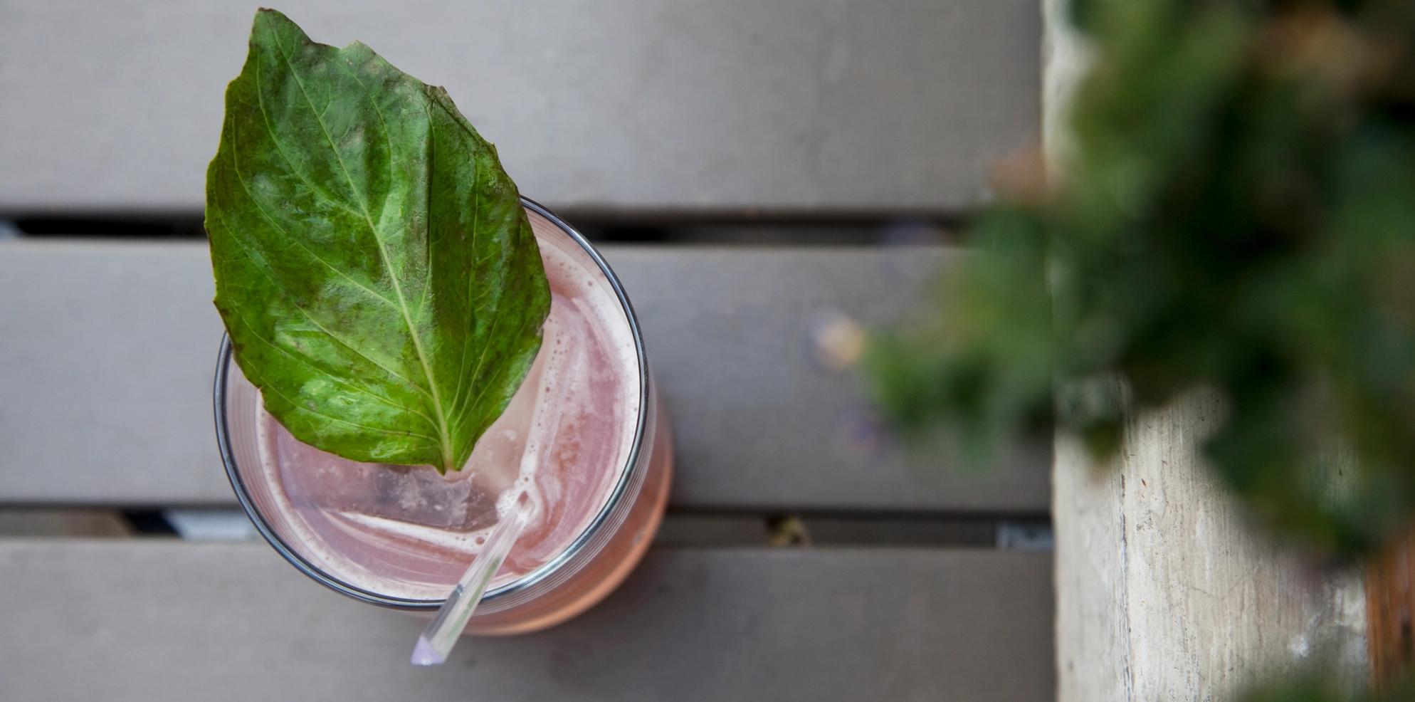 drink, drinks, cocktail, banff, dining, nightlife