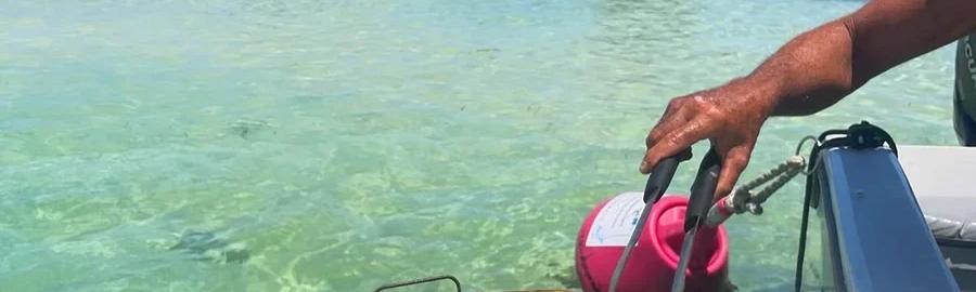 Grand Cul-de-Sac Marin – Meals right by the water’s edge, snorkelling & relaxation