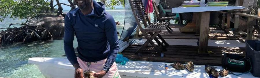 Half-day – Îlet-Caret and the mangrove forest