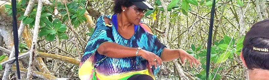 Mangrove et 5 îlets Paradisiaques - Journée