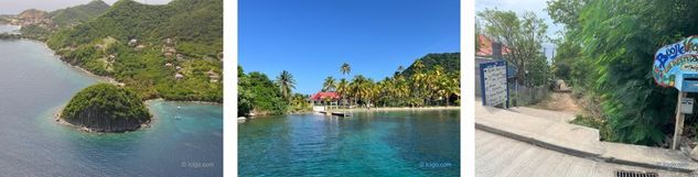 Seabed near Pain de Sucre, Les Saintes