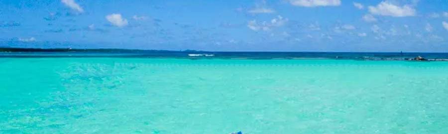 Excursion Petite Terre et Désirade tout inclus