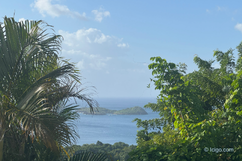 Cousteau Reserve, the seabed off Basse-Terre