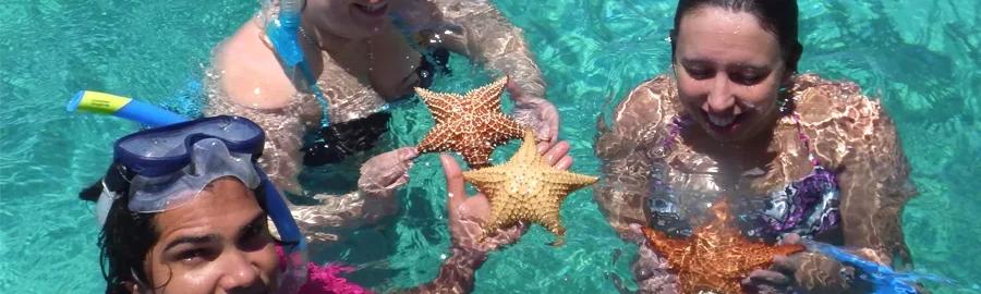 Découverte mangrove et 5 îlets en demi-journée