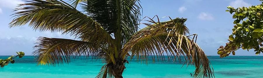 Excursion à Marie-Galante avec Miami Vice