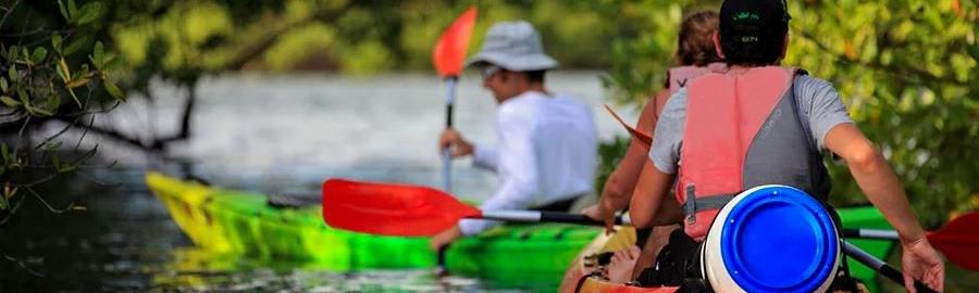 Kayak - Balade 1/2 journée "mangrove ilet lagon"