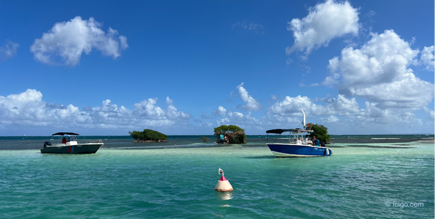 Grand-Cul-de-Sac Marin Lagoon, Guadeloupe