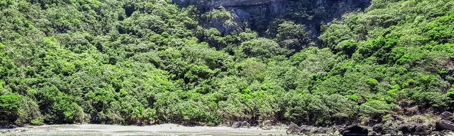 Visite Terre/Mer Désirade ou Petite Terre/Désirade - Guide Désiradien