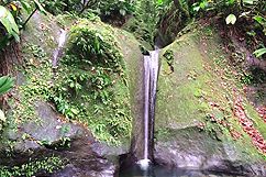 Waterfalls and hot springs of Basse-Terre